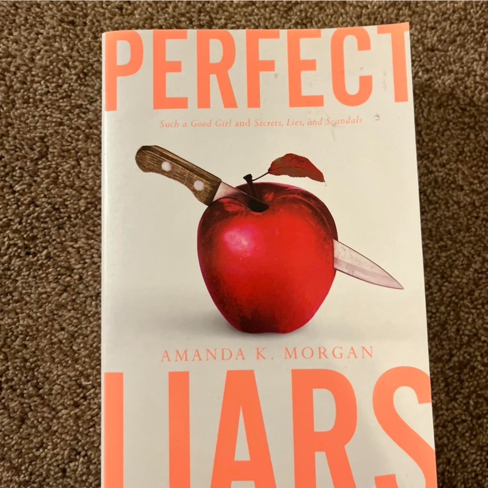 Perfect Liars Book by Amanda K. Morgan